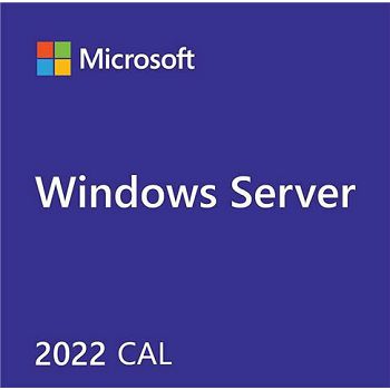 DSP Windows Server CAL 2019 English 1pk DSP OEI 5 Clt User CAL