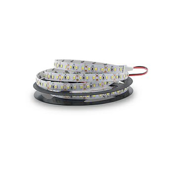 EcoVision LED traka 5m, 2835, 120LED/m, 19.2W/m, 24V DC, 3000K, IP20