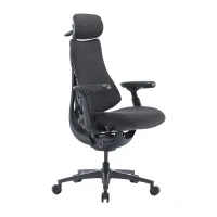 LiberNovo Omni Pro 48 cm Ergonomic Chair (Graphite)