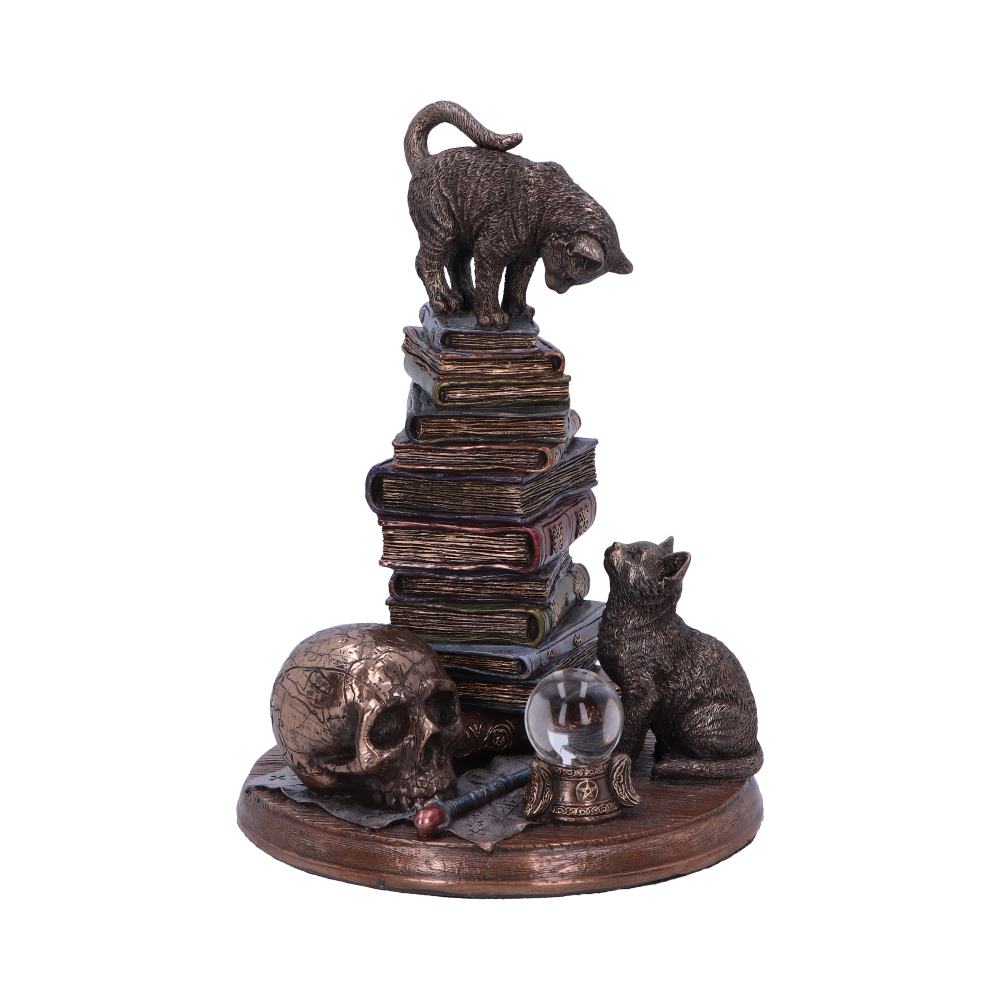 NEMESIS NOW FELINE SCHOLARS 18CM