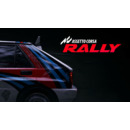 Igra PC Assetto Corsa Rally
