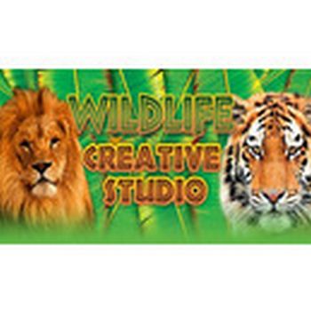 Wildlife Creative Studio STEAM Key