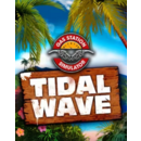 Igra PC Gas Station Simulator - Tidal Wave
