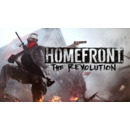 Igra PC Homefront: The Revolution