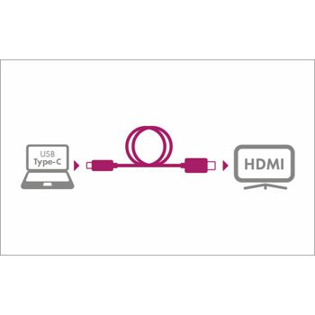 ICYCA-ADAPT_C_HDMI_3.jpg