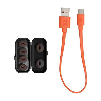 JBLZV-TUNEFLEX_01_12.jpg