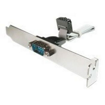 DIGITUS Slot bracket adapter cable - DSUB (9-pin)/socket connector (10-pin) - 25 cm
 - AK-610300-003-E
