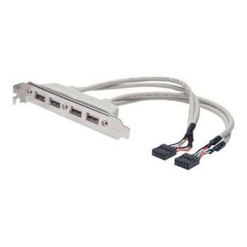 DIGITUS USB slot cable - 2 x USB Type-A/2 x IDC (10-pin) - 25 cm
 - AK-300304-002-E