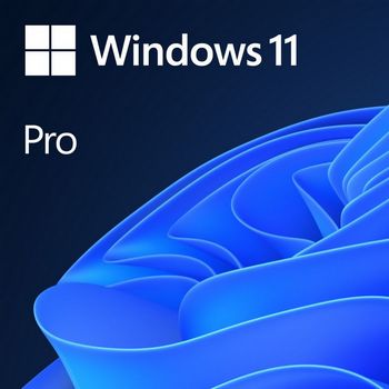 Microsoft Windows 11 Pro 64 Bit - SystemBuilder - Box - 1 license - German
 - FQC-10534