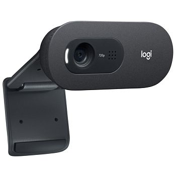 Logitech webcam C505, HD, black