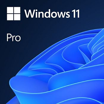 Microsoft Windows Pro 11 DSP / OEM Slovenian, DVD