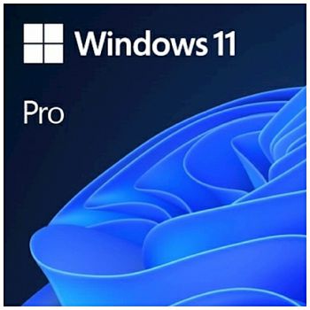 Microsoft Windows Pro 11 FPP Slovenian, USB