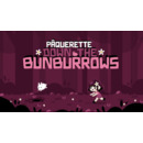 Igra PC Paquerette Down the Bunburrows
