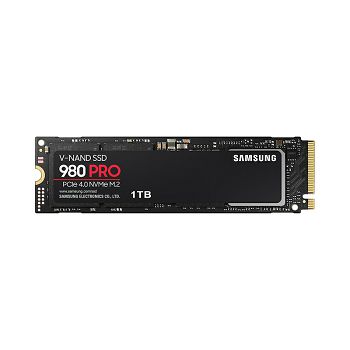 SAMSD-1000_23_2.jpg