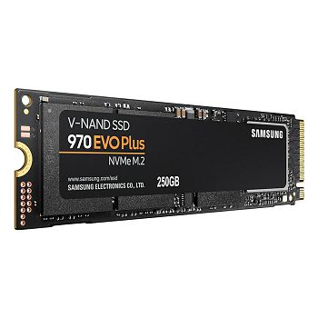 SAMSD-250_21_2.jpg