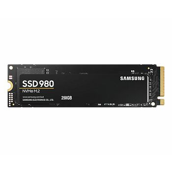 SAMSD-250_24_2.jpg