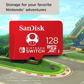 SANMC-128GB_NINTEN_1_7.jpg