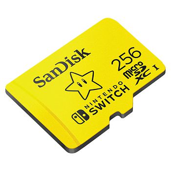 SANMC-256GB_NINTEN_1_2.jpg