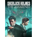 Igra PC Sherlock Holmes: The Awakened