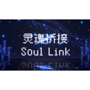 Igra PC Soul Link