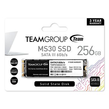 Teamgroup 256GB SSD MS30 M.2 2280 SATA3