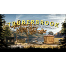 Igra Xbox One Truberbrook (Xbox One) (Europe)