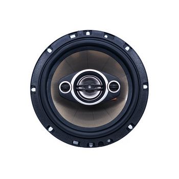 VIVA-6169_3.jpg