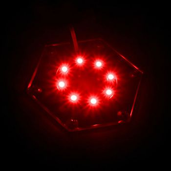 WAAU-529-CK_6.jpg