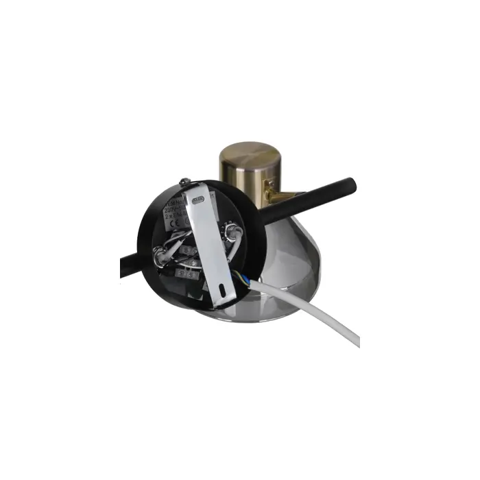 activejet-lisa-double-black-and-gold-ceiling-wall-light-stri-68509-oswacjlir0006.webp