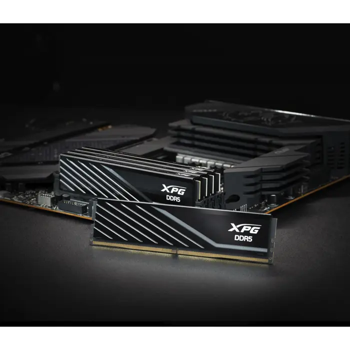 adata-ddr5-16gb-6000-cl-36-single-black-ax5u6000c3616g-slabb-53845-ax5u6000c3616g-slabbk-w.webp