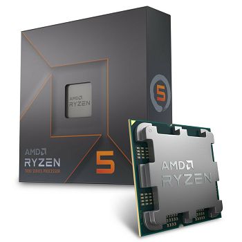 AMD Ryzen 5 7600X 4,7 GHz (Raphael) AM5 - boxed 100-100000593WOF