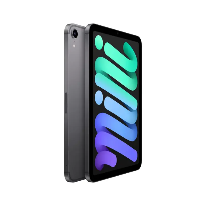 apple-ipad-mini-6th-gen-83in-wi-ficellular-256gb-grey-23100-wlononwcrjbhw.webp