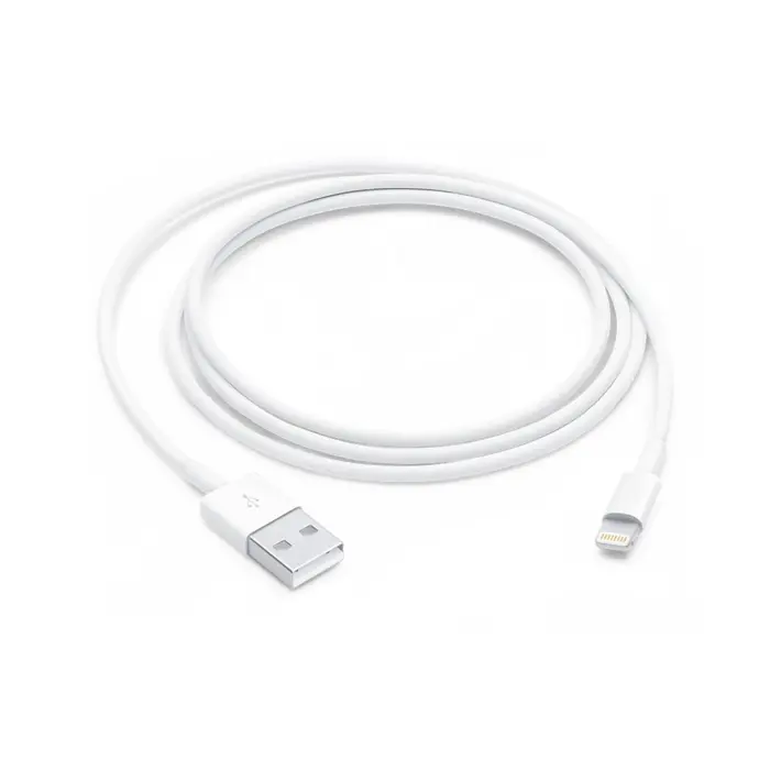 Apple Lightning to USB Cable (1m) | Apple