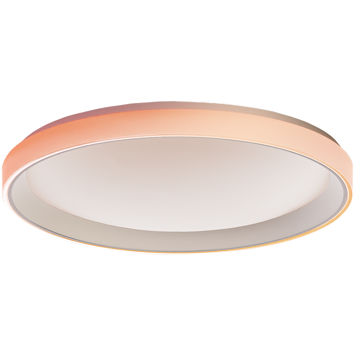 Aqara Ceiling Light T1M: Model No: CL-L02D