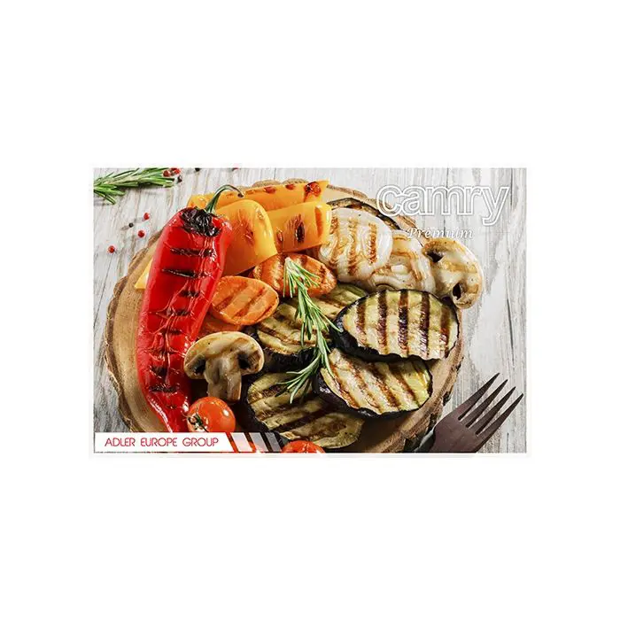 camry-raclette-grill-25756-e0003879.webp