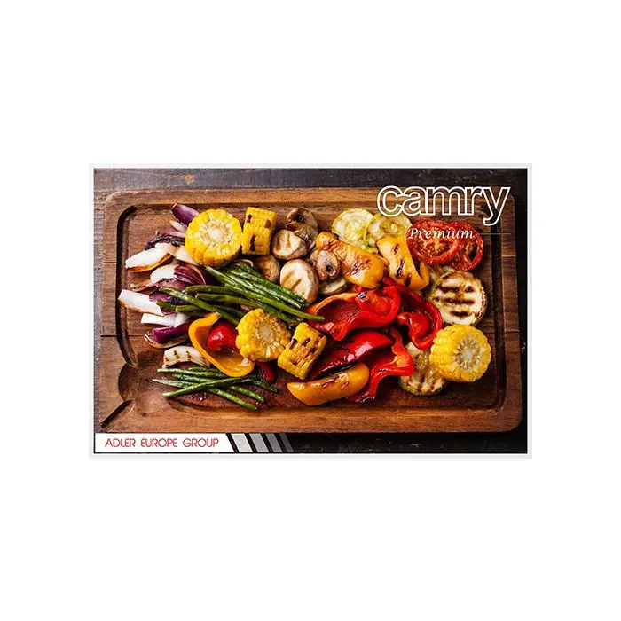 camry-raclette-grill-86902-e0003879.webp