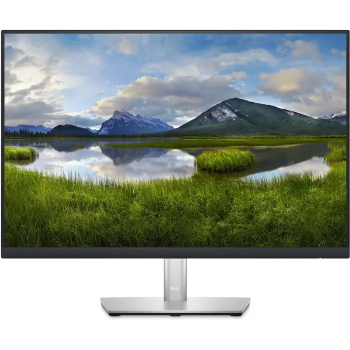 Dell P2423 Refurbished (61 cm (24 Inch), Silver/Black, WUXGA, IPS, 60 Hz, HDMI, DP, DVII, VGA, USB Hub)