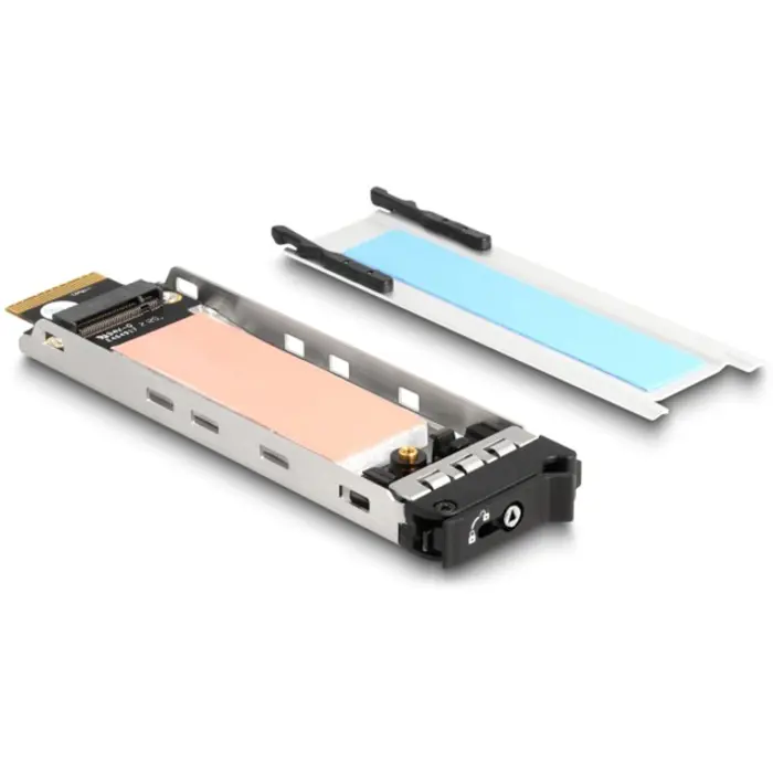 delock-delock-removable-frame-pci-express-card-for-1-x-m2-nm-15399-47028-w.webp