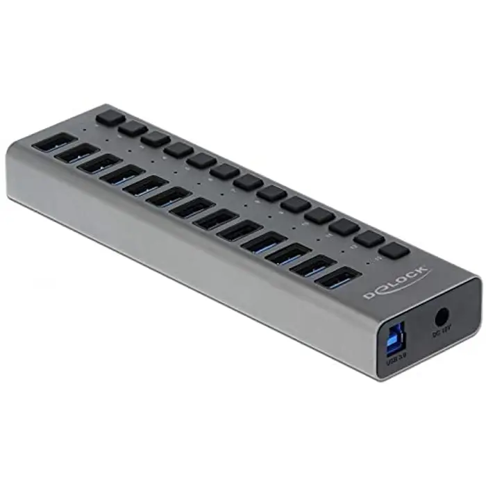 Delock External SS USB Hub 13Ports + Switch - 63738
