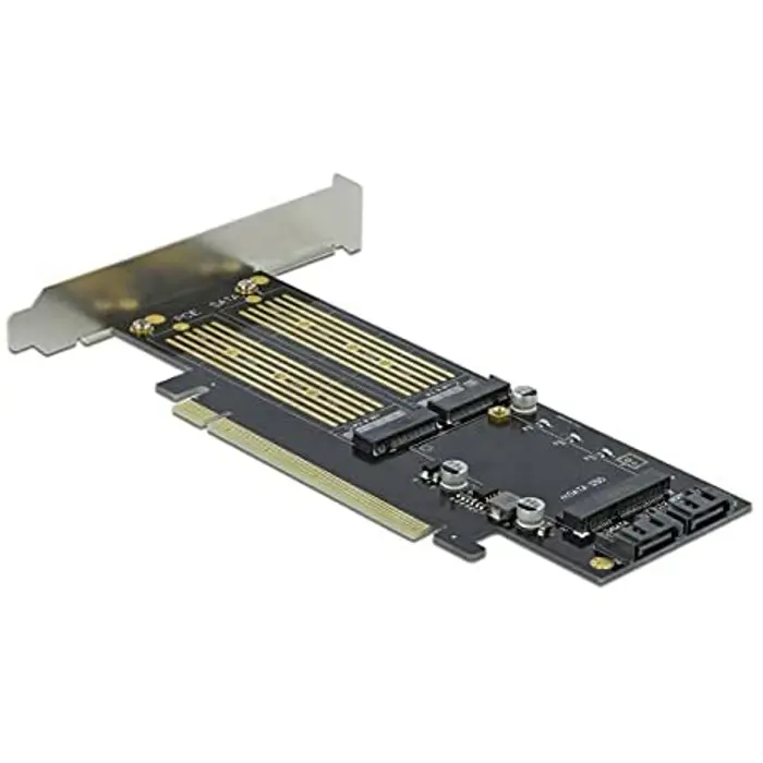 delock-pcie-x16-card-2x-m2keyb-1xmsata-85656-90486-w.webp