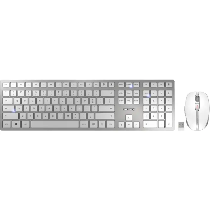 DW 9100 SLIM (white/silver, EU layout (QWERTY), Cherry SX scissor technology)
