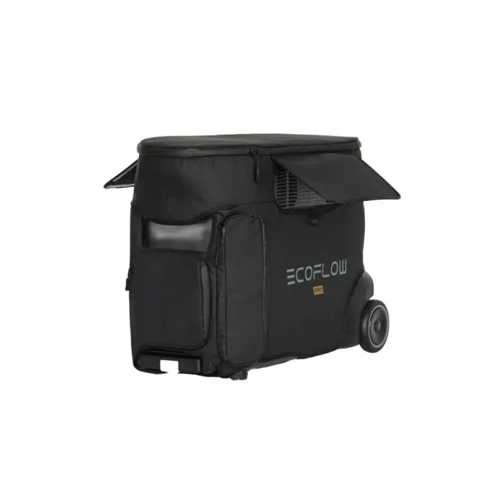 Ecoflow bag for DELTA Pro