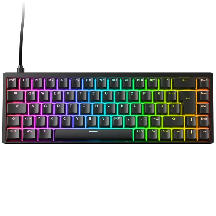 Endgame Gear KB65HE 8k Gaming-Tastatur, Hall Effect, 8000Hz, 65%, RGB - Raesha Silent, ISO (DE), schwarz-EGG-KB65HE-8K-RDE