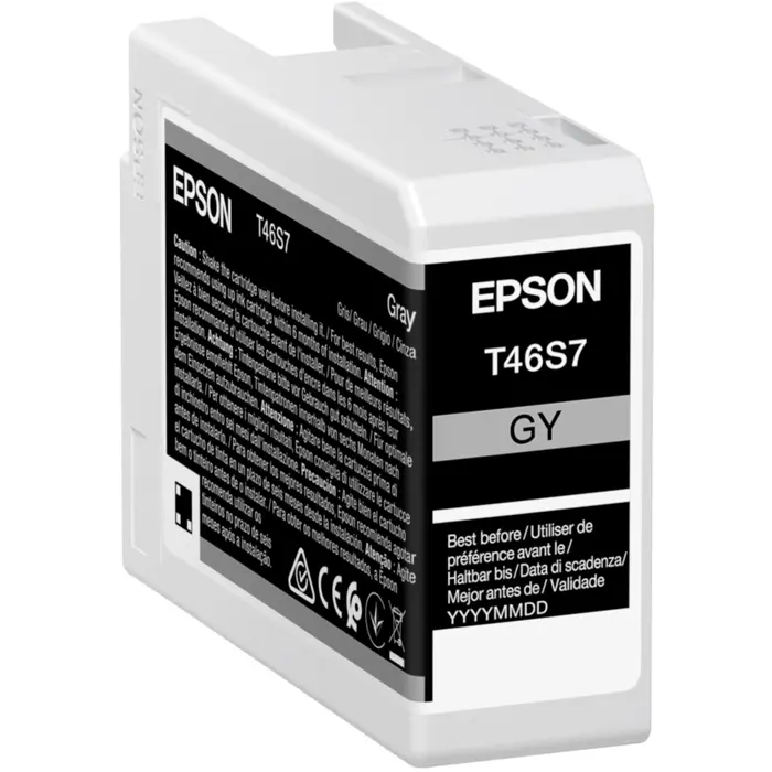Epson ink gray T46S7 (C13T46S700) (Ultrachrome PRO 10)