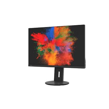 Fujitsu DISPLAY B2410 WS