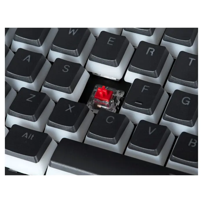 gaming-keyboard-endorfy-omnis-pud-kailh-rd-rgb-46842-wlononwcrfth1.webp