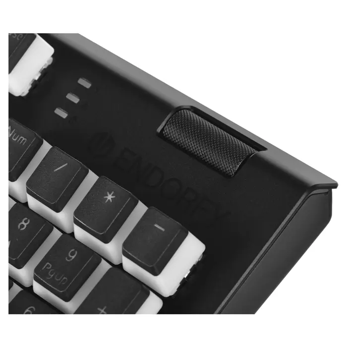 gaming-keyboard-endorfy-omnis-pud-kailh-rd-rgb-52111-wlononwcrfth1.webp