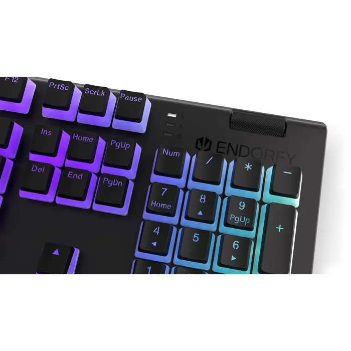 gaming-keyboard-endorfy-omnis-pud-kailh-rd-rgb-7938-wlononwcrfth1.webp
