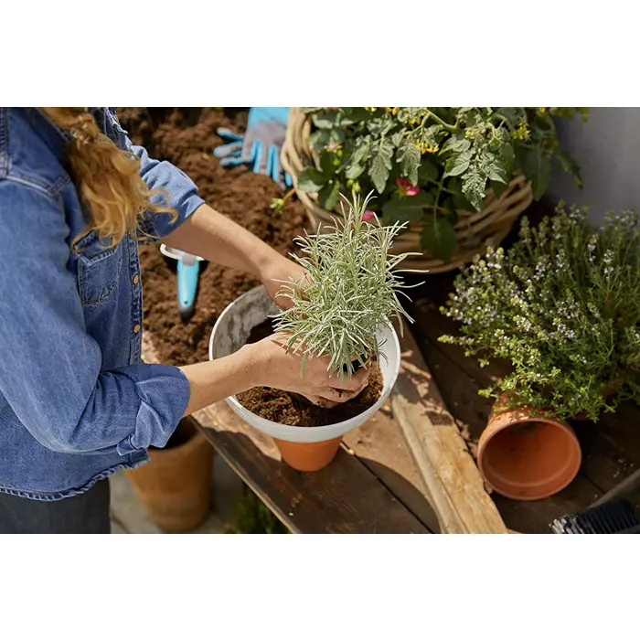 gardena-clickup-planter-bowl-11320-20-89804-11320-20-w.webp