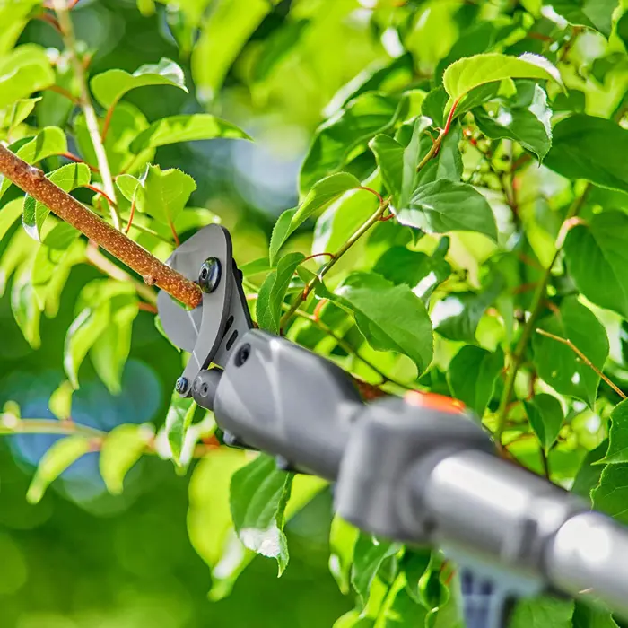 gardena-cordless-telescopic-pruning-shears-highcut-25018v-p4-27030-14774-55-w.webp